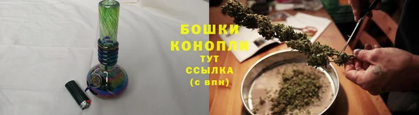 spice Верея