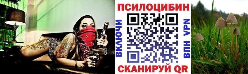 darknet какой сайт  OMG как войти  Голицыно  Псилоцибиновые грибы GOLDEN TEACHER 